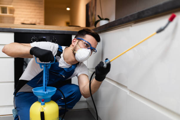 Trusted Maggie Valley, NC Pest Control Experts