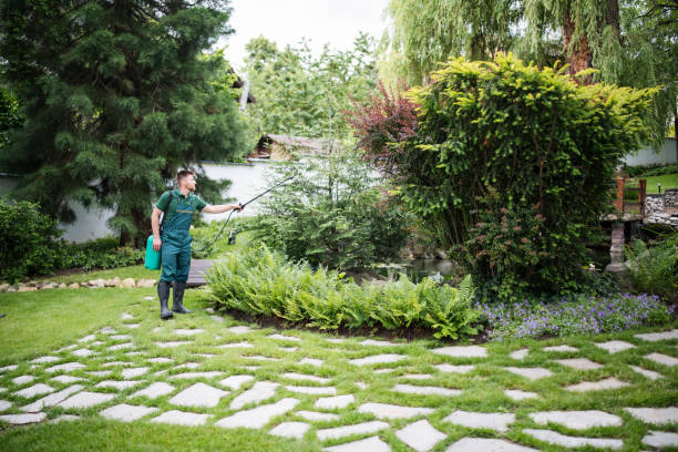 Best Best Pest Control Companies  in Maggie Valley, NC