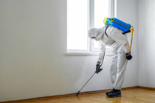 Pest Control Cost in Maggie Valley, NC